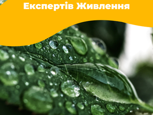 Експерти компанії ведуть супровід та контроль наслідків внесення препаратів , досліджуючи вплив на вегетаційні процеси.