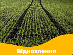 Швидке відновлення весняної вегетації